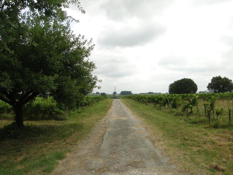 Chateau Monichot Organic Vineyard Tauriac  Экстерьер фото